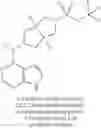 Fig. 237 - Pyrrole six-membered heteroaryl ring derivative, preparation method thereof, and medicinal uses thereof