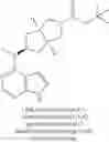 Fig. 255 - Pyrrole six-membered heteroaryl ring derivative, preparation method thereof, and medicinal uses thereof