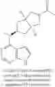 Fig. 261 - Pyrrole six-membered heteroaryl ring derivative, preparation method thereof, and medicinal uses thereof