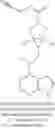Fig. 331 - Pyrrole six-membered heteroaryl ring derivative, preparation method thereof, and medicinal uses thereof