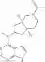 Fig. 44 - Pyrrole six-membered heteroaryl ring derivative, preparation method thereof, and medicinal uses thereof