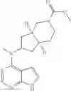 Fig. 45 - Pyrrole six-membered heteroaryl ring derivative, preparation method thereof, and medicinal uses thereof