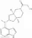 Fig. 46 - Pyrrole six-membered heteroaryl ring derivative, preparation method thereof, and medicinal uses thereof