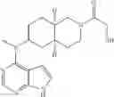 Fig. 55 - Pyrrole six-membered heteroaryl ring derivative, preparation method thereof, and medicinal uses thereof