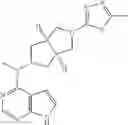Fig. 75 - Pyrrole six-membered heteroaryl ring derivative, preparation method thereof, and medicinal uses thereof