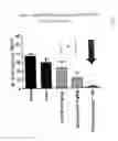 Fig. 03 - Compositions, dosage forms, and co-administration of an opioid agonist compound and a non-steroidal anti-inflammatory drug