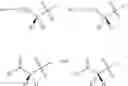 Fig. 46 - Substituted biaryl alkyl amides
