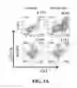 Fig. 02 - Compositions and methods for modulating myeloid derived suppressor cells