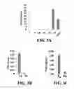 Fig. 07 - Compositions and methods for modulating myeloid derived suppressor cells