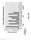 Fig. 19 - Lipid Formulated Compositions and Methods for Inhibiting Expression of Eg5 and VEGF Genes