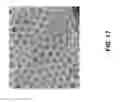 Fig. 25 - Lipid Formulated Compositions and Methods for Inhibiting Expression of Eg5 and VEGF Genes