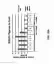 Fig. 30 - Lipid Formulated Compositions and Methods for Inhibiting Expression of Eg5 and VEGF Genes