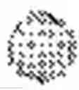 Fig. 07 - Virus vectors for highly efficient transgene delivery