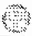Fig. 09 - Virus vectors for highly efficient transgene delivery