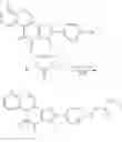 Fig. 28 - 2-alkyl-or-aryl-substituted tanshinone derivatives, and preparation method and application thereof