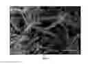 Fig. 02 - Method for obtaining hierarchically ordered inorganic phosphate structures on phyllosilicates
