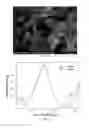 Fig. 06 - Method for obtaining hierarchically ordered inorganic phosphate structures on phyllosilicates