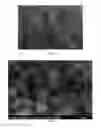 Fig. 07 - Method for obtaining hierarchically ordered inorganic phosphate structures on phyllosilicates