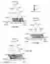 Fig. 04 - Curable compositions allowing to obtain materials having an optimised performance, and materials obtained from said compositions