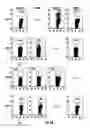 Fig. 06 - Methods and compositions for tumor vaccination and therapy