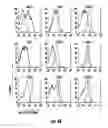 Fig. 07 - Methods and compositions for tumor vaccination and therapy