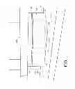 Fig. 02 - DNA extraction from seeds using osmoticum