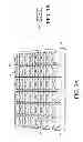 Fig. 04 - DNA extraction from seeds using osmoticum