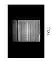 Fig. 07 - DNA extraction from seeds using osmoticum