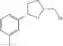 Fig. 252 - Process and intermediates for the production of CCR2 antagonists