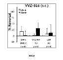 Fig. 07 - Benzamide derivative and use thereof
