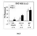Fig. 09 - Benzamide derivative and use thereof