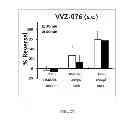 Fig. 22 - Benzamide derivative and use thereof