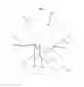 Fig. 04 - Apparatus for purifying organic compound and method of purifying organic compound