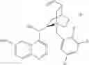 Fig. 41 - Process for the preparation of gamma amino acids and intermediates used in said process
