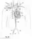 Fig. 06 - Transseptal cannula, tip, delivery system, and method