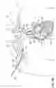 Fig. 14 - Transseptal cannula, tip, delivery system, and method
