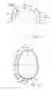 Fig. 03 - Systems and methods for delivering bone conduction stimuli to and for measuring gravitation receptor functions of the inner ear