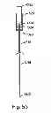 Fig. 37 - Systems, devices and methods for minimally invasive pelvic surgery