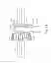 Fig. 20 - Needle firing assembly for biopsy device