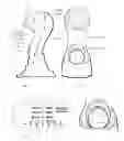 Fig. 07 - CLEANING AND MASSAGING SYSTEM