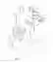 Fig. 08 - Limb rehabilitation and training system