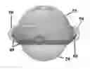Fig. 01 - Rolling Ball Massager