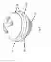 Fig. 06 - Rolling Ball Massager