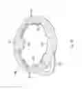 Fig. 12 - Rolling Ball Massager