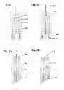 Fig. 06 - Drug filled delivery assembly