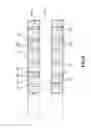 Fig. 10 - Guide wire