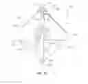 Fig. 09 - Bodily fluid drainage assembly