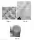 Fig. 03 - Reticulated Mesh Arrays and Dissimilar Array Monoliths by Additive Layered Manufacturing Using Electron and Laser Beam Melting