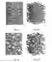 Fig. 06 - Reticulated Mesh Arrays and Dissimilar Array Monoliths by Additive Layered Manufacturing Using Electron and Laser Beam Melting