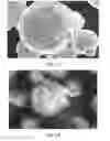 Fig. 16 - Reticulated Mesh Arrays and Dissimilar Array Monoliths by Additive Layered Manufacturing Using Electron and Laser Beam Melting